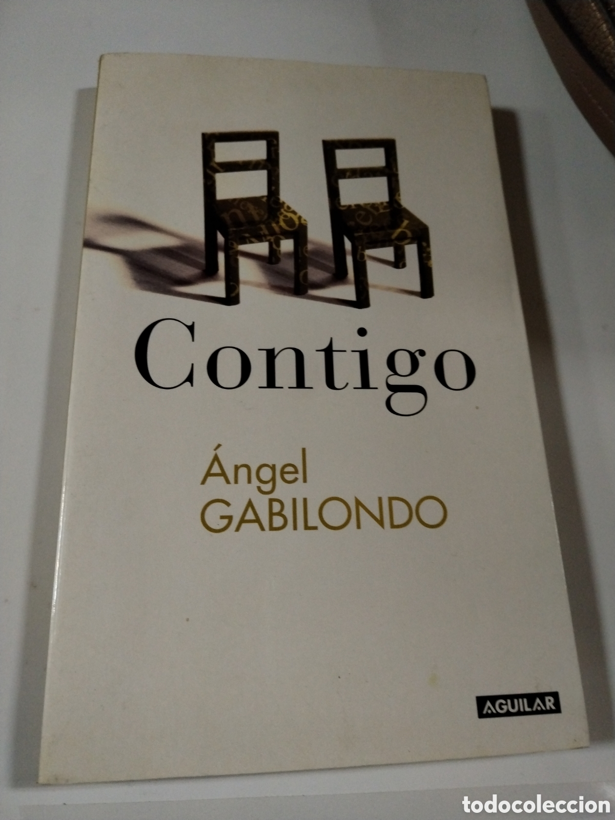 Libros: CONTIGO. ANGEL GABILONDO. CL - Foto 1