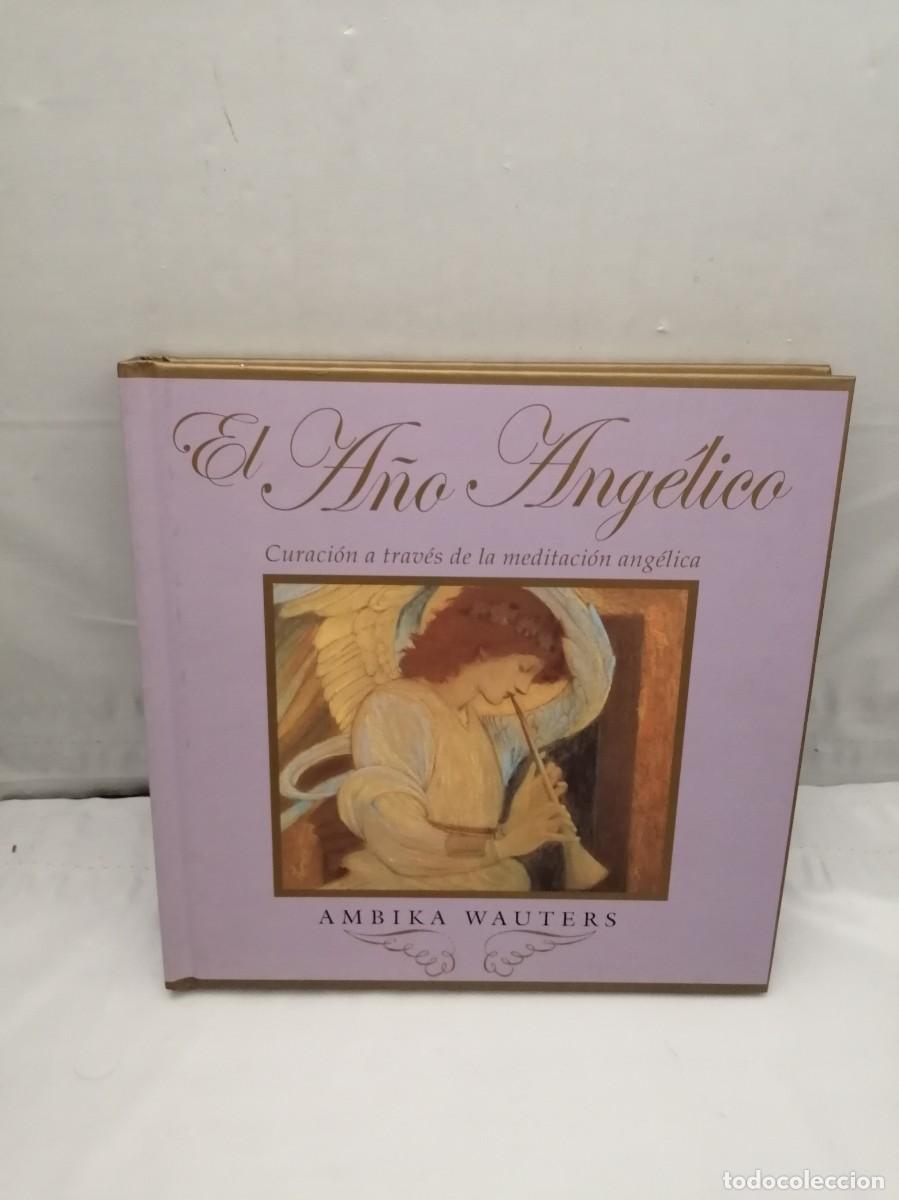 Livres: El A&ntilde;o Ang&eacute;lico. Curaci&oacute;n a trav&eacute;s de la meditaci&oacute;n ang&eacute;lica (Primera edici&oacute;n tapa dura)