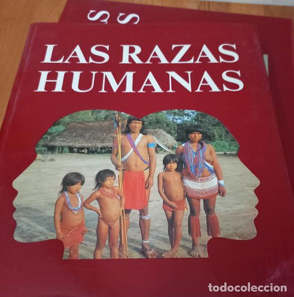 Libros: 4 TOMOS, LAS RAZAS HUMANAS, CIESA, COMPA&Ntilde;IA INTERNACIONAL EDITORA 1981 - Foto 3