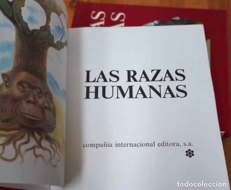 Libros: 4 TOMOS, LAS RAZAS HUMANAS, CIESA, COMPA&Ntilde;IA INTERNACIONAL EDITORA 1981 - Foto 4