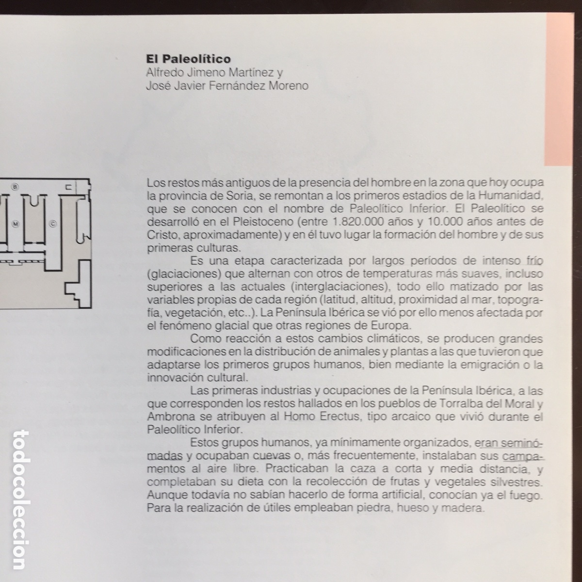 Libros: MUSEO NUMANTINO GUIA DEL MUSEO JUNTA DE CASTILLA Y LEON 1990 - Foto 5