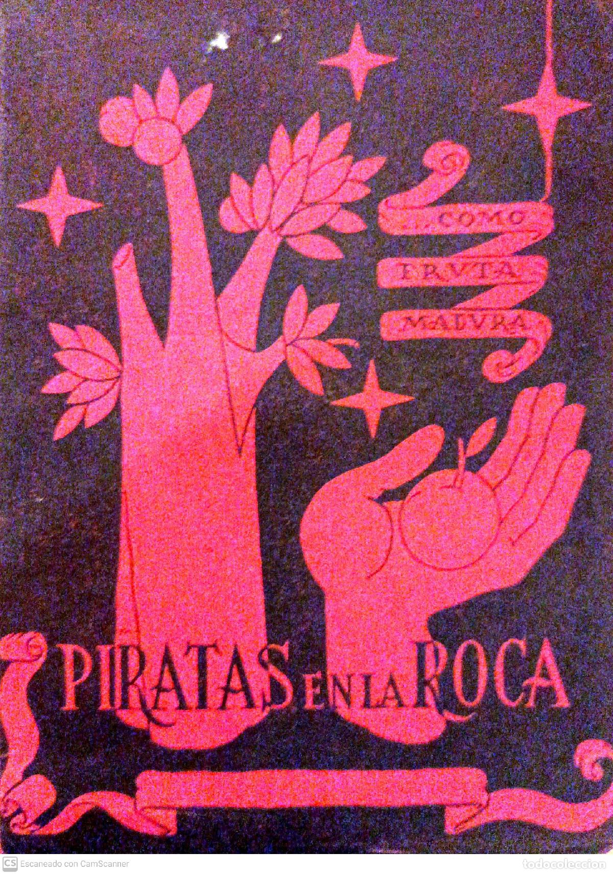 Libros: Piratas en la roca - Julio Puente - Foto 1