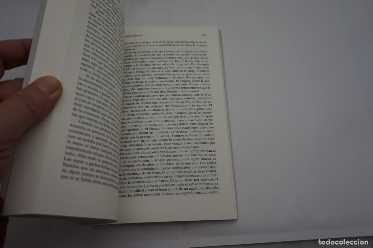 Libros: M2F - EL LABERINTO DEL COMENSAL - ALEJANDRO ARRIBAS JIMENO / ALIANZA EDITORIAL - Foto 3