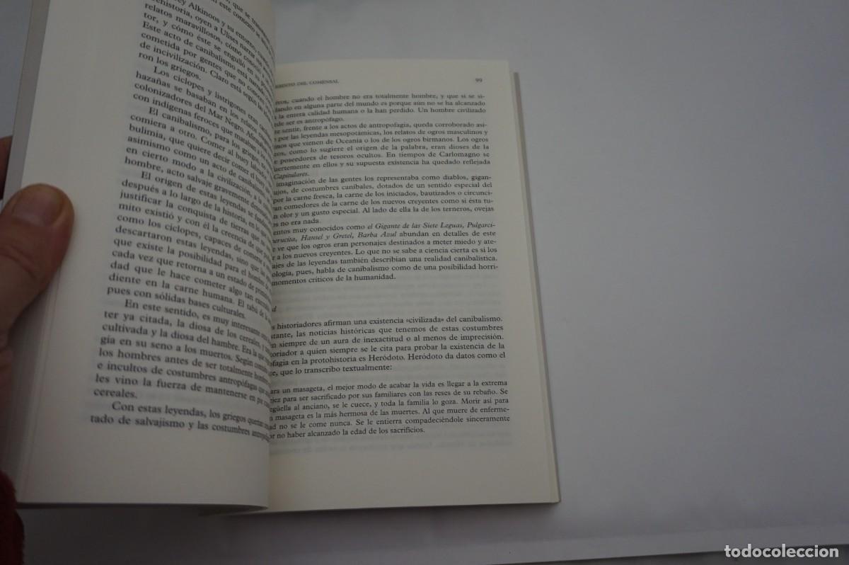 Libros: M2F - EL LABERINTO DEL COMENSAL - ALEJANDRO ARRIBAS JIMENO / ALIANZA EDITORIAL - Foto 4