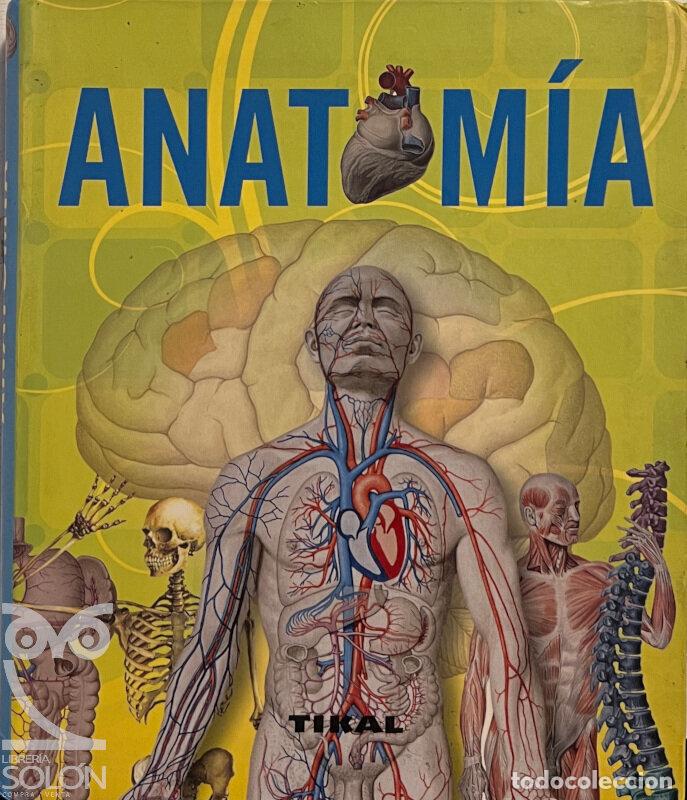 Libros: Anatom&iacute;a - Adriana Rigutti - Foto 1