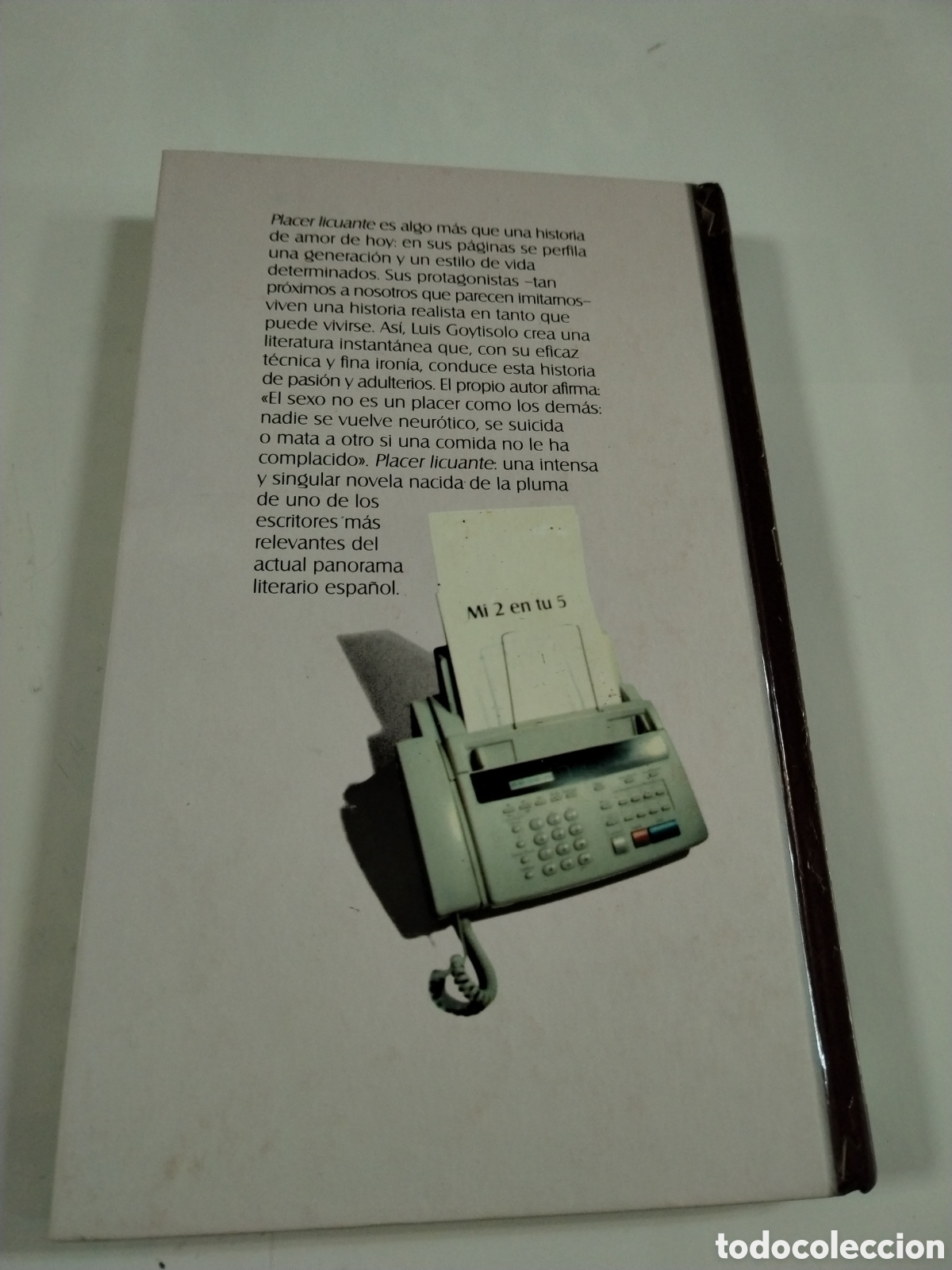 Libros: Lu&iacute;s Goytisolo. Placer licuante - Foto 2