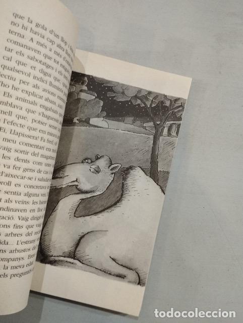 Libros: Joaquim Carb&oacute; - El cant de lesparver - Foto 2