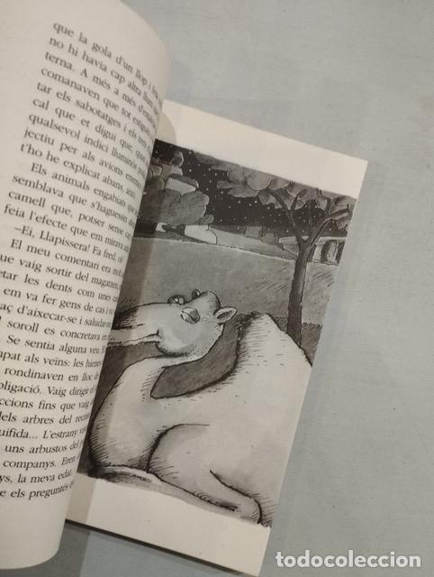 Libros: Joaquim Carb&oacute; - El cant de lesparver - Foto 2