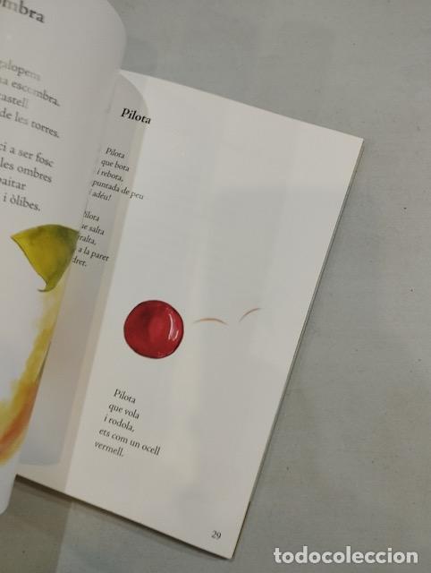 Libros: N&uacute;ria Alb&oacute; / Caterina ROca - Mho ha dit el vent - Foto 2