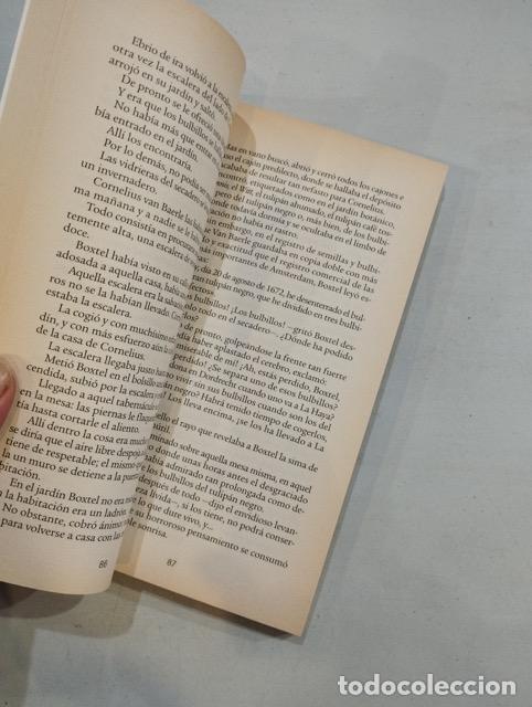Libros: Alejandro Dumas - El tulip&aacute;n negro - Foto 2