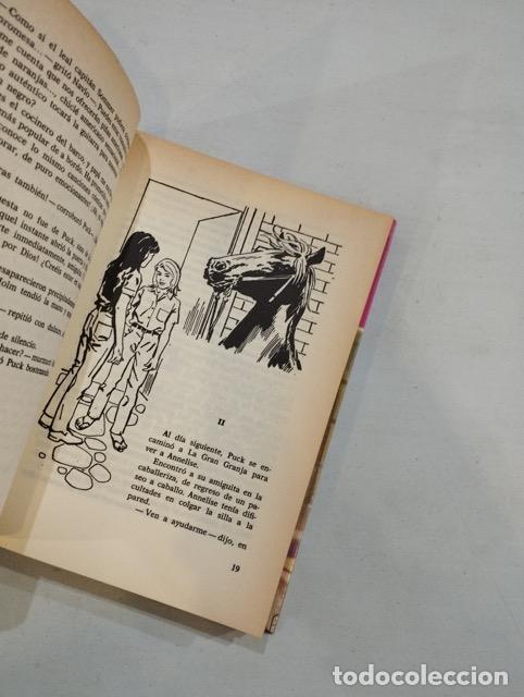 Libros: Lisbeth Werner - Puck Triunfa - Foto 2