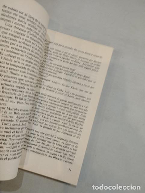 Libros: Walt Morey - K&agrave;vik, el gos llop - Foto 2