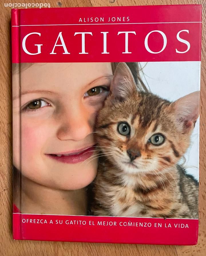 Libros: GATITOS, Alison Jones - Foto 1