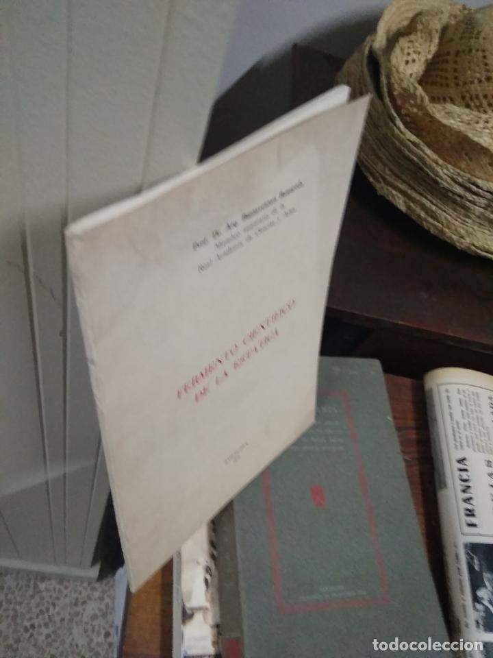 Libros: Fermento cient&iacute;fico de la est&aacute;tica. L.22975-380 - Foto 3