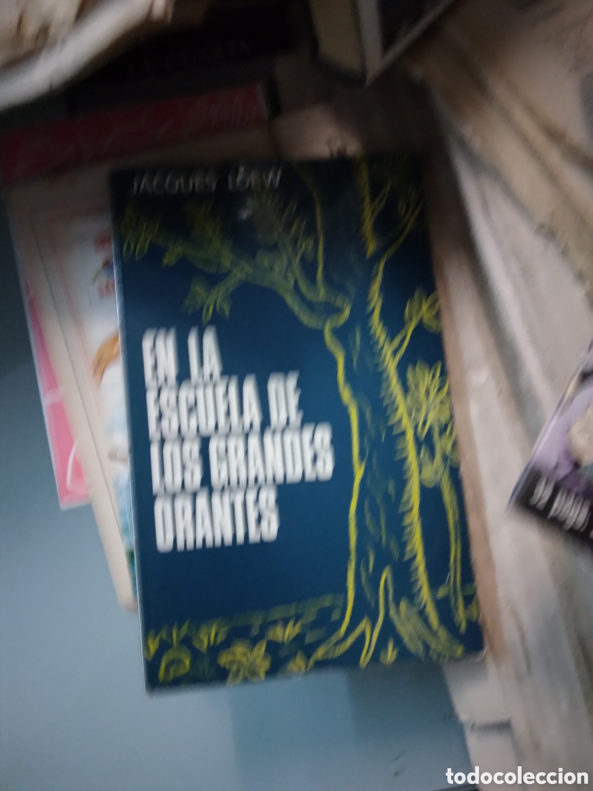 Libros: Jacques Loew, En la escuela de los grandes Orantes - Foto 1