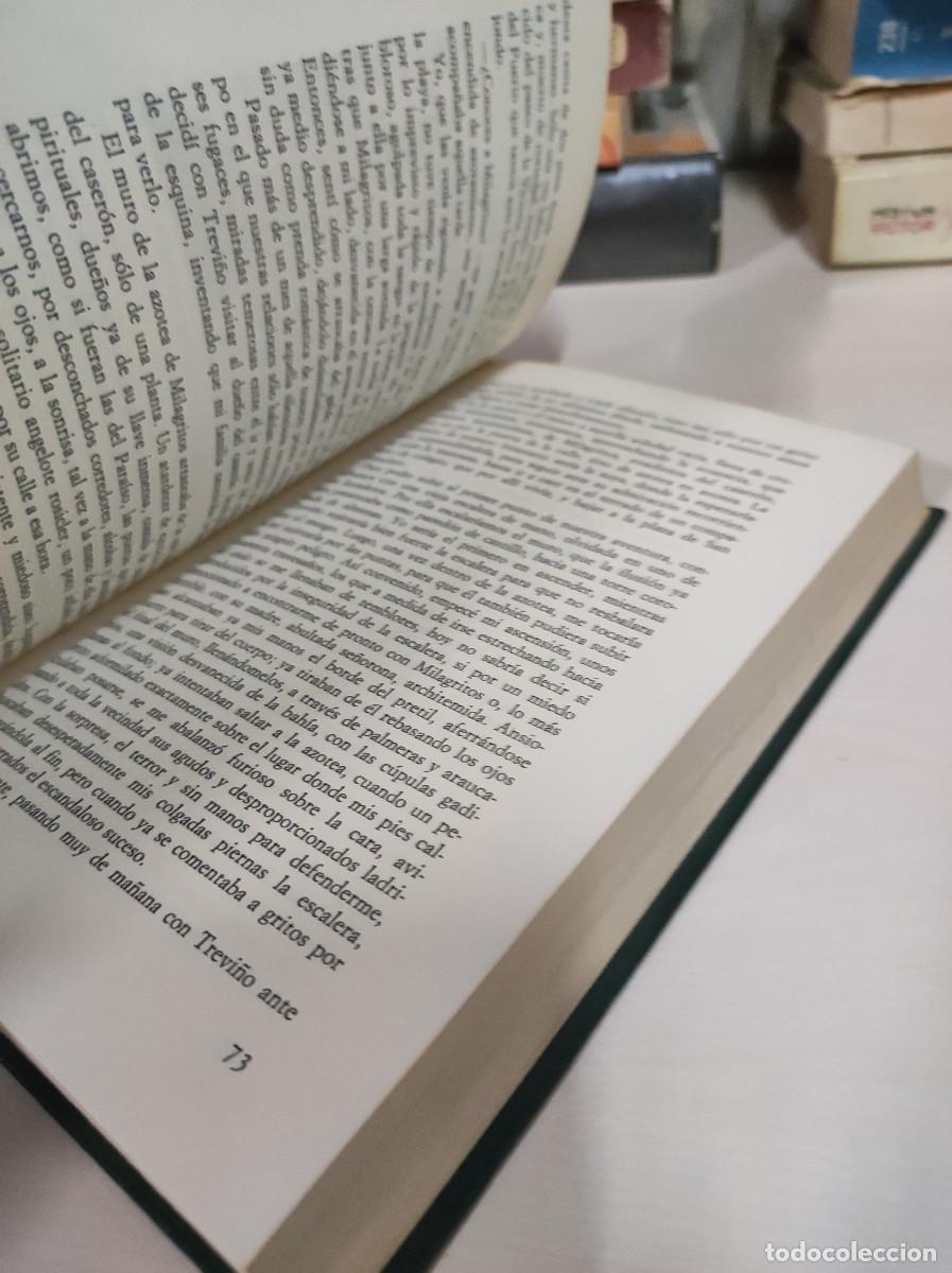 Libros: RAFAEL ALBERTI LA ARBOLEDA PERDIDA - Foto 3
