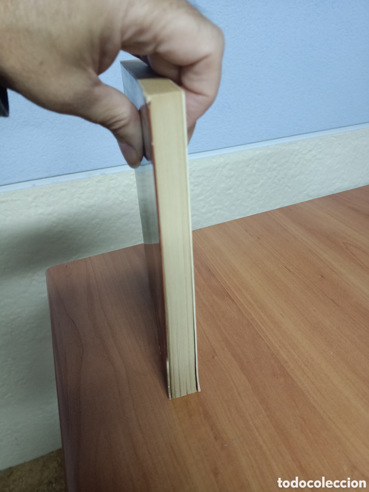 Libros: Una muchacha llamada Lil - Al Merkell - Foto 2