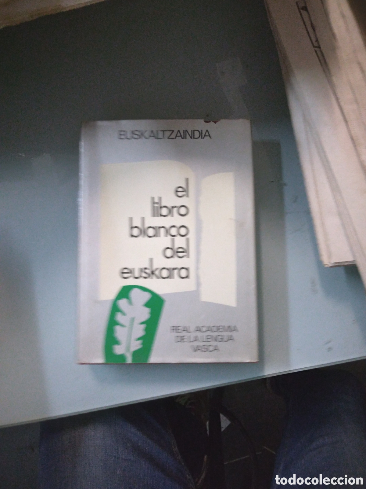 Libros: Euskaltzaindia, El libro blanco del.euskara,Real.Acadrmia - Foto 1