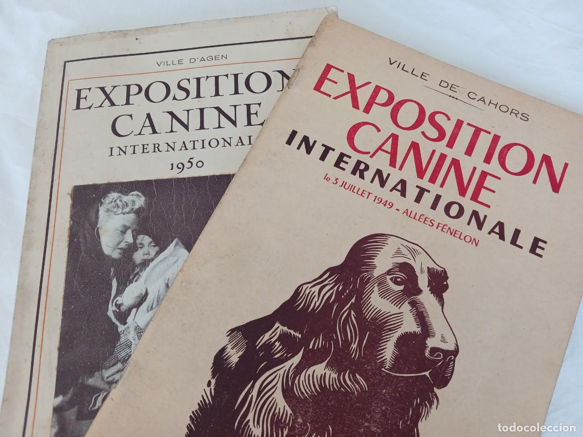 Libros: CAT&Aacute;LOGOS DE LA EXPOSICI&Oacute;N CANINA INTERNACIONAL, 1949 Y 1950 (CAHORS / AGEN, FRANCIA) - PERROS