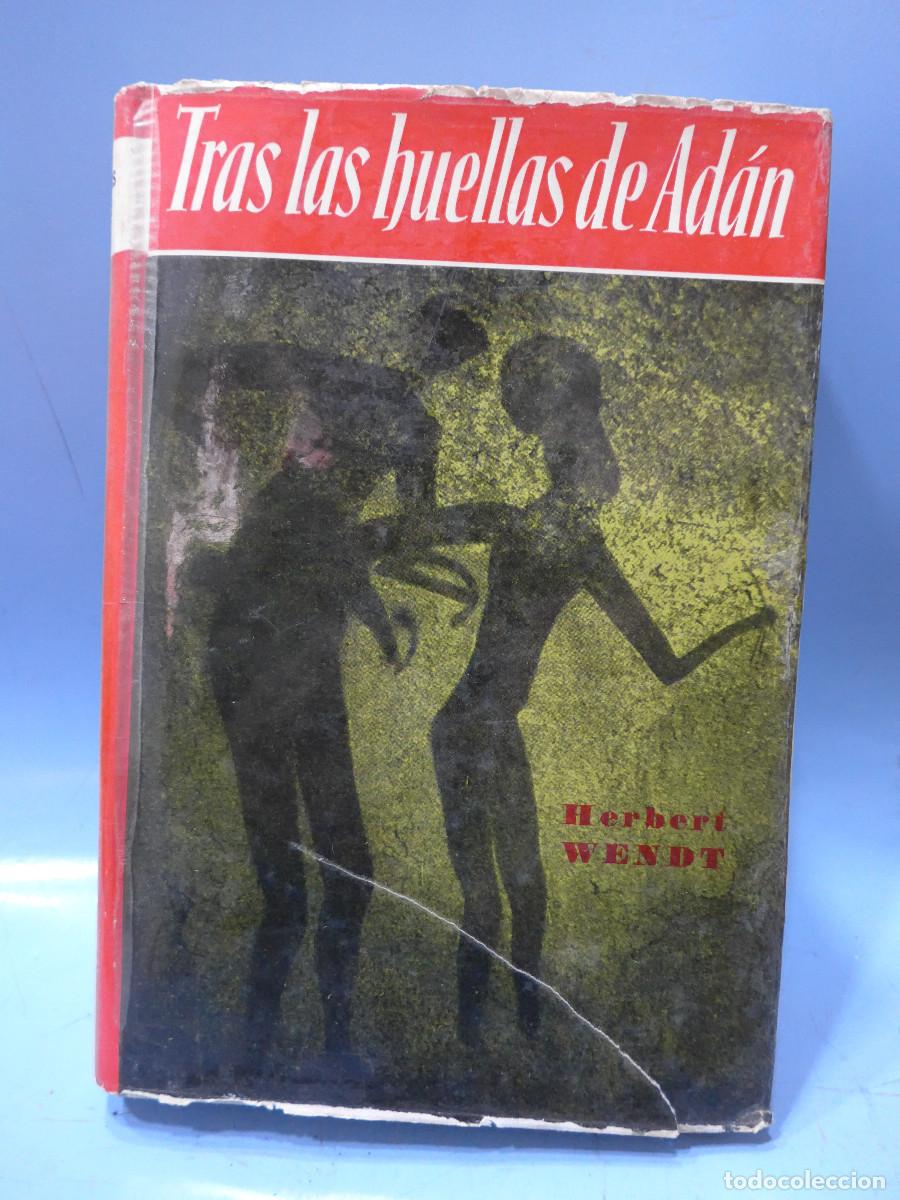 Libros: TRAS LAS HUELLAS DE ADAN - HERBERT WENDT - EDITORIAL NOGUER - Foto 1