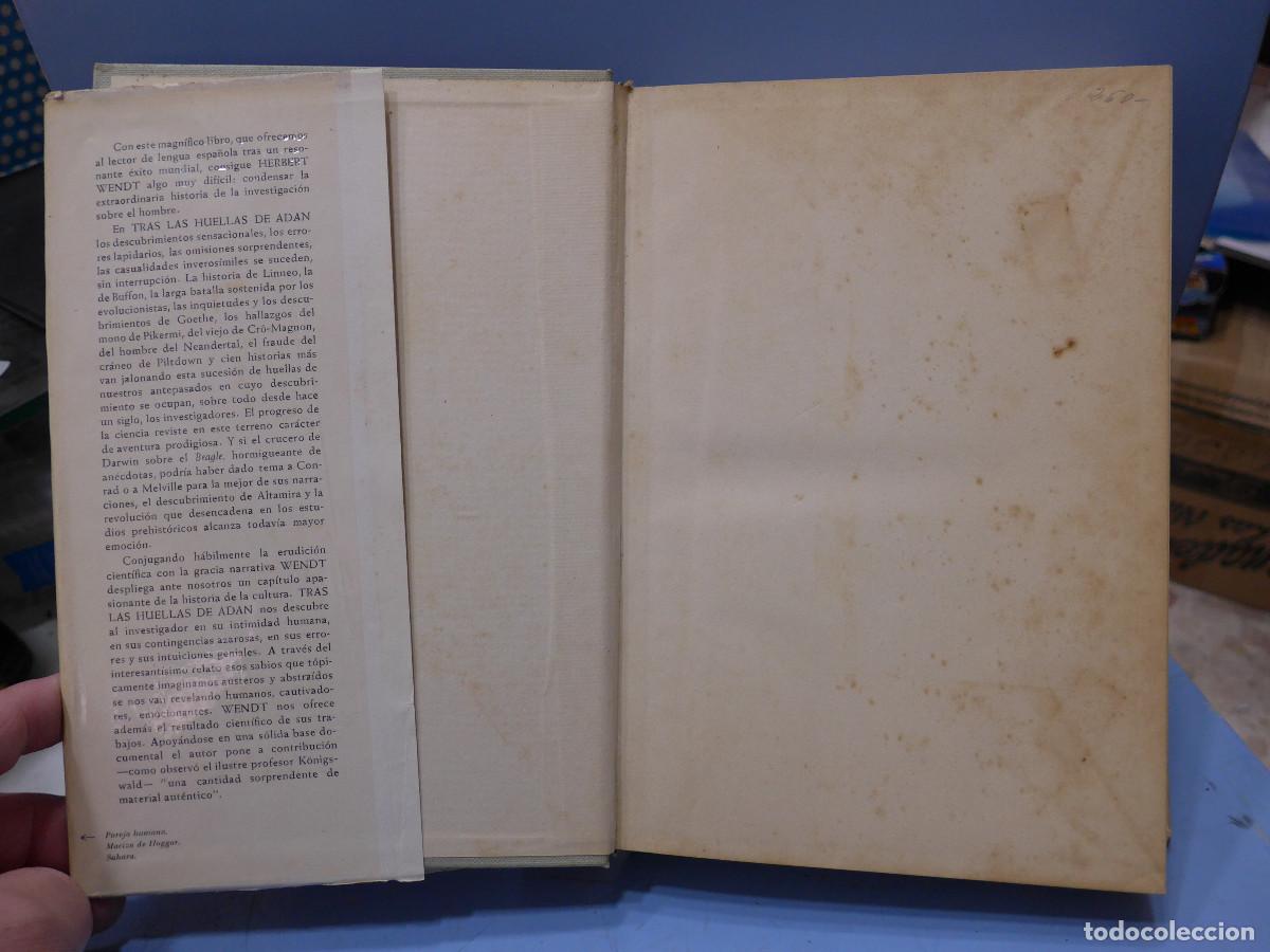 Libros: TRAS LAS HUELLAS DE ADAN - HERBERT WENDT - EDITORIAL NOGUER - Foto 5