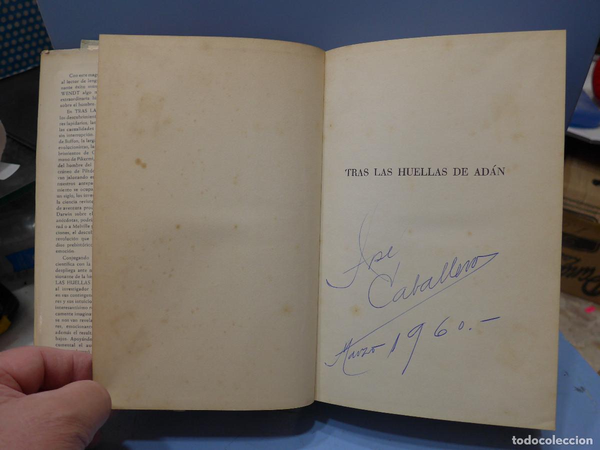Libros: TRAS LAS HUELLAS DE ADAN - HERBERT WENDT - EDITORIAL NOGUER - Foto 6
