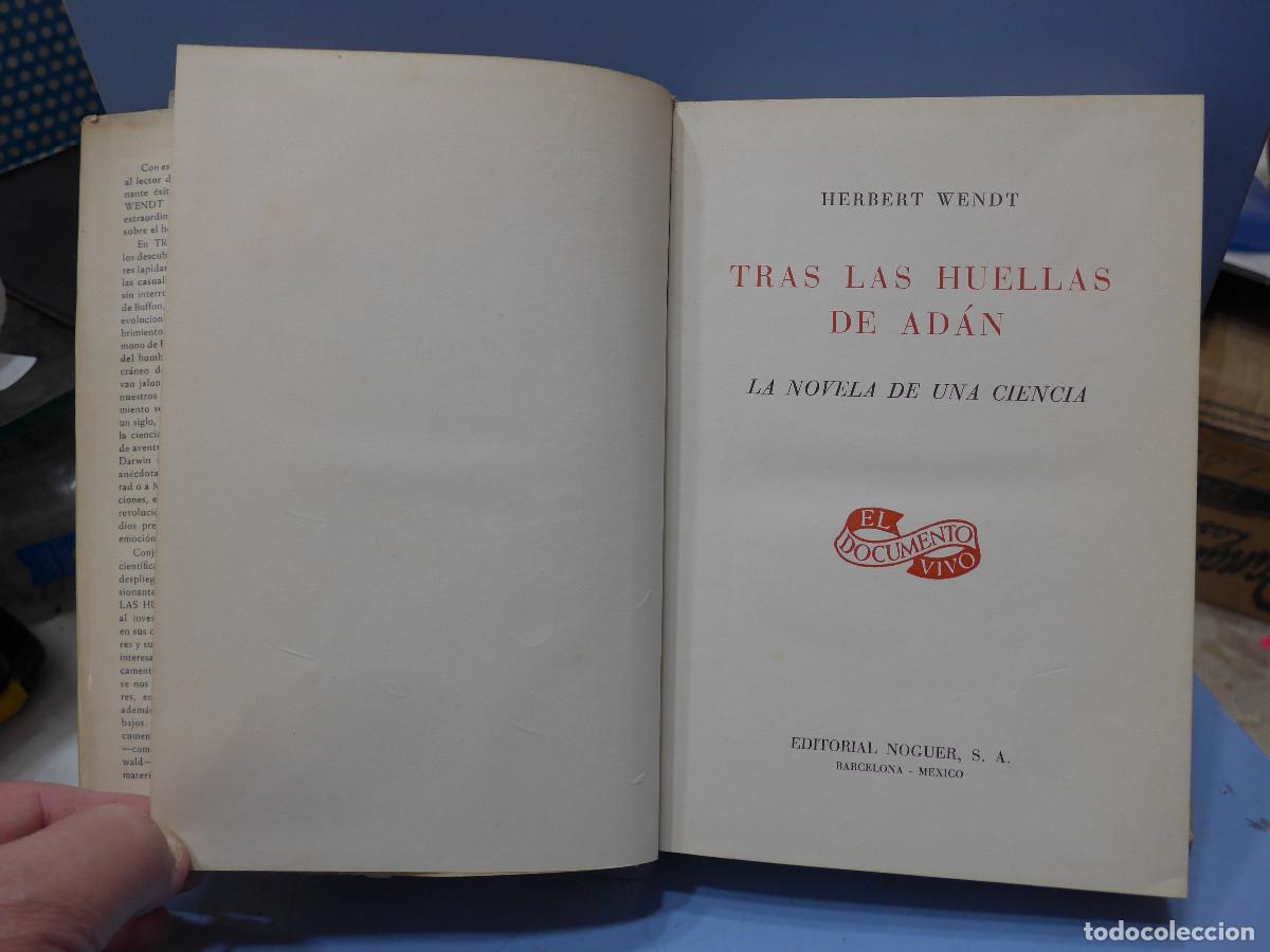 Libros: TRAS LAS HUELLAS DE ADAN - HERBERT WENDT - EDITORIAL NOGUER - Foto 7