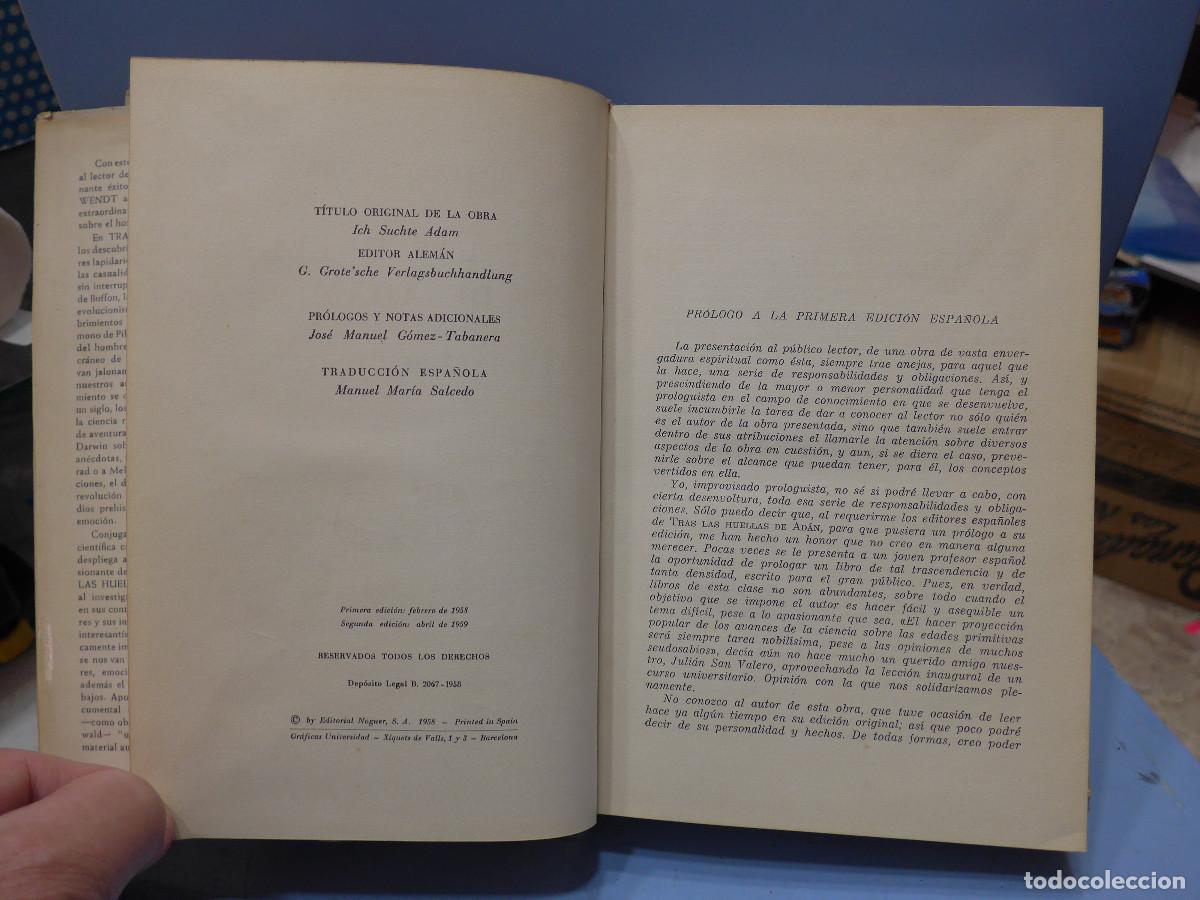 Libros: TRAS LAS HUELLAS DE ADAN - HERBERT WENDT - EDITORIAL NOGUER - Foto 8