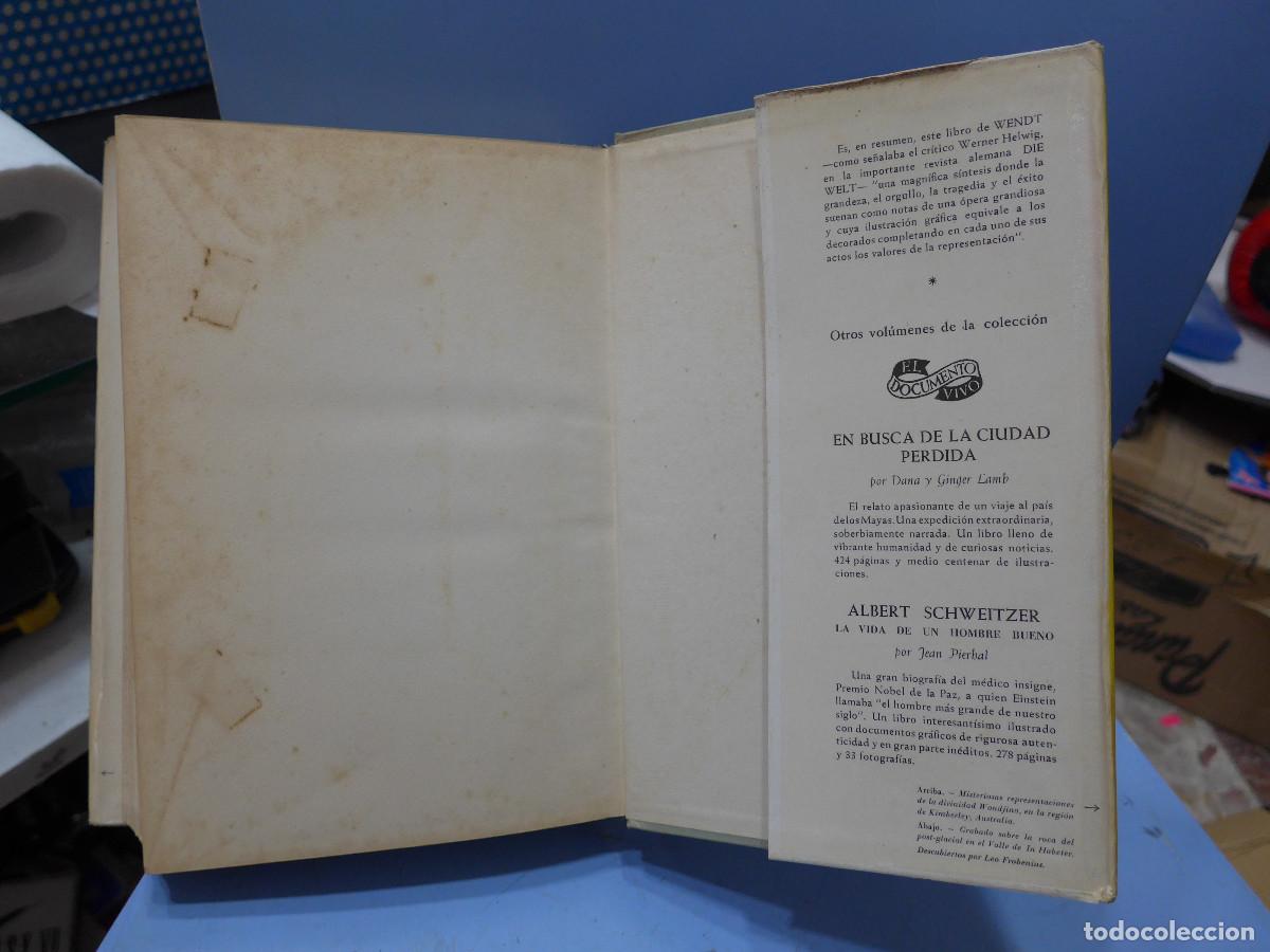Libros: TRAS LAS HUELLAS DE ADAN - HERBERT WENDT - EDITORIAL NOGUER - Foto 10