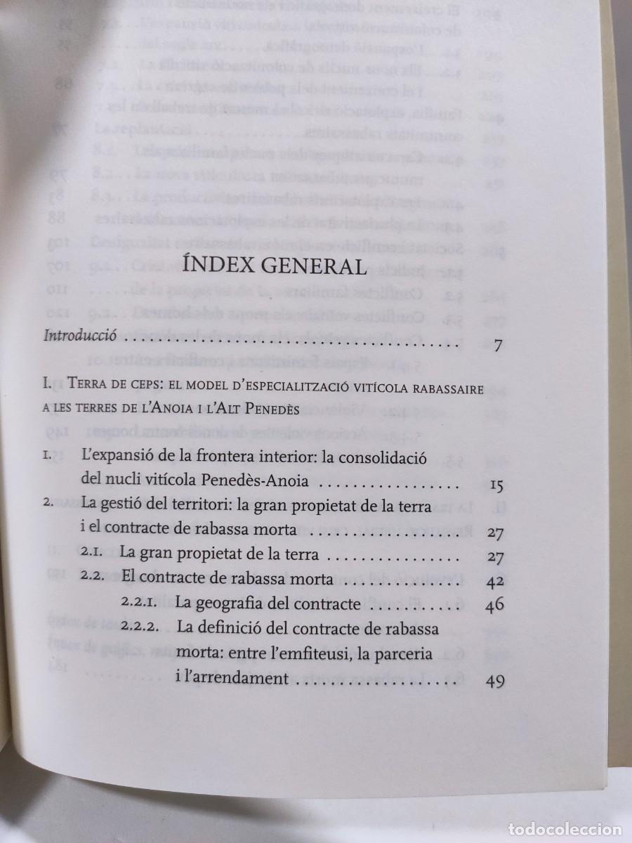 Libros: TERRA DE CEPS - Josep Colom&eacute;-Ferrer - Foto 9