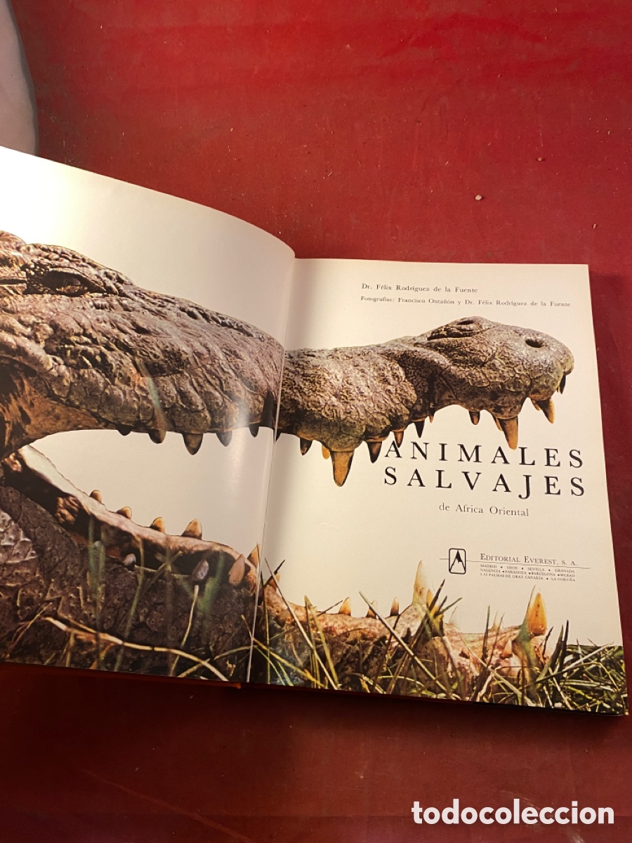 Libros: ANIMALES SALVAJES - Foto 2