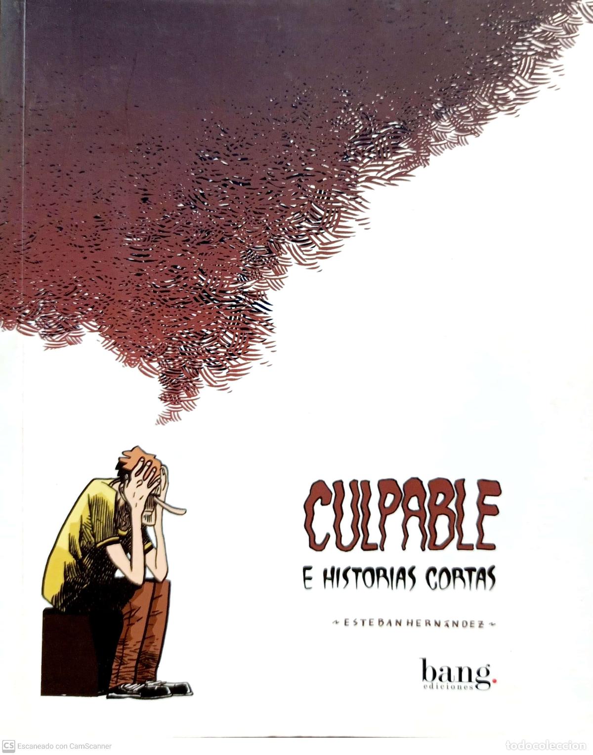 Libros: Culpable e historias cortas - Esteban Hern&aacute;ndez - Foto 1