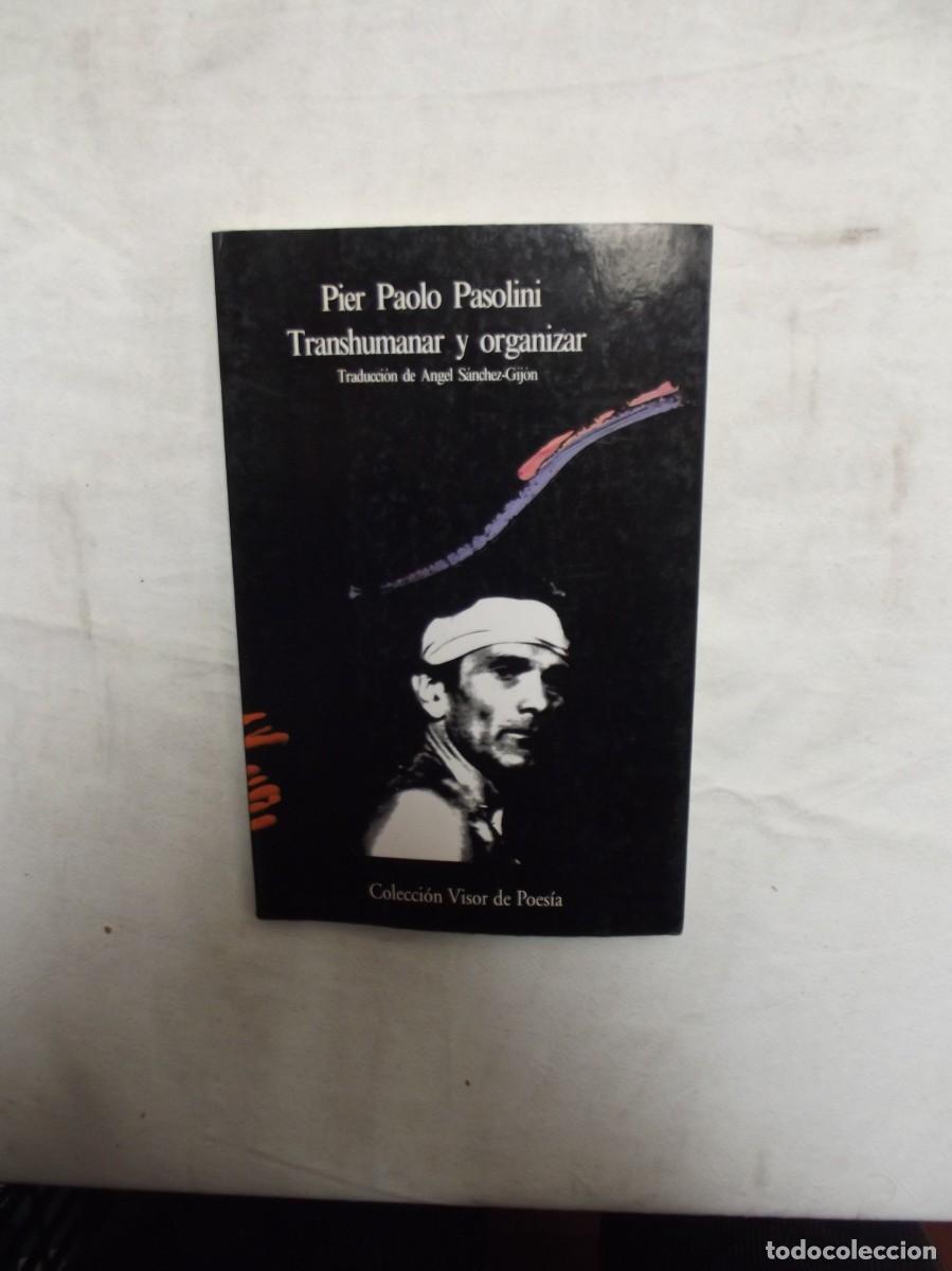 Libros: TRANSHUMANAR Y ORGANIZAR DE DE PIER PAOLO PASOLINI - Foto 1