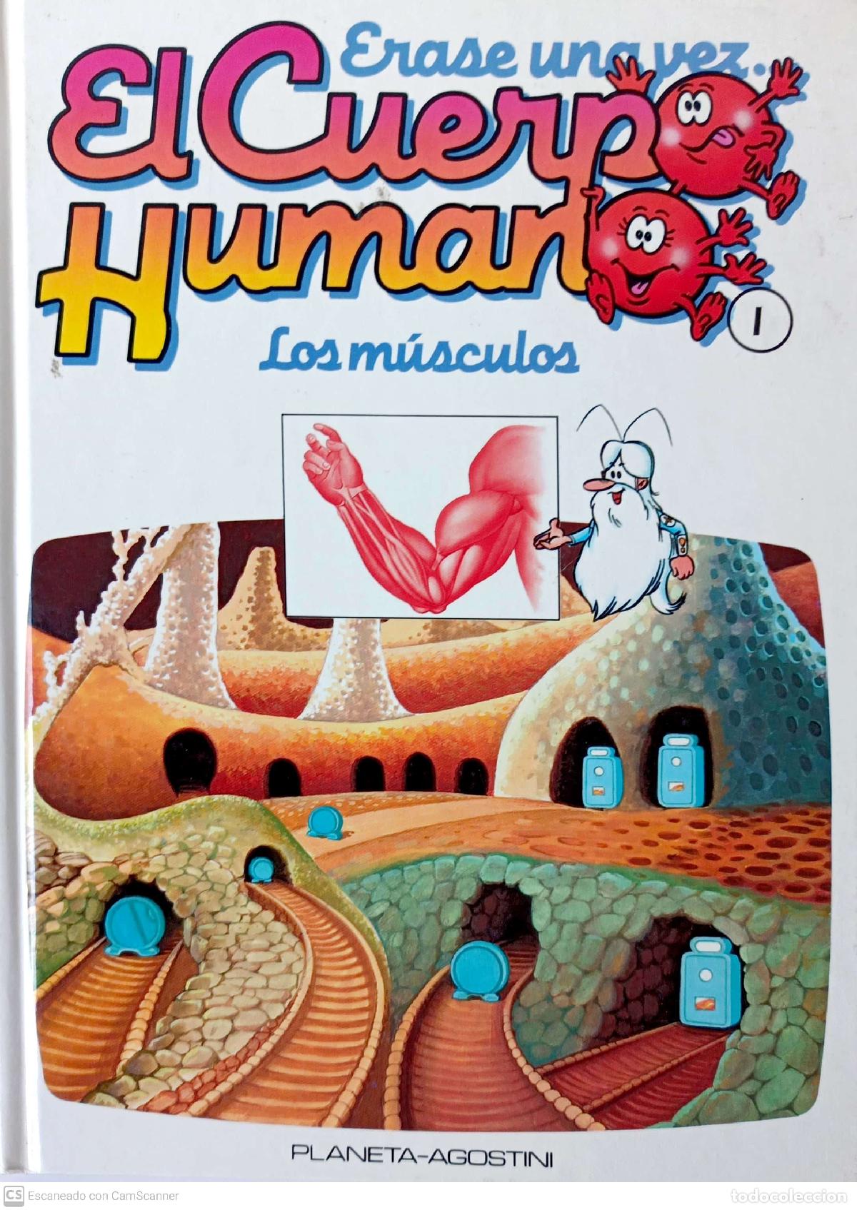 Libros: Los m&uacute;sculos - Beaumont, Mar&iacute;a Gracia - Foto 1