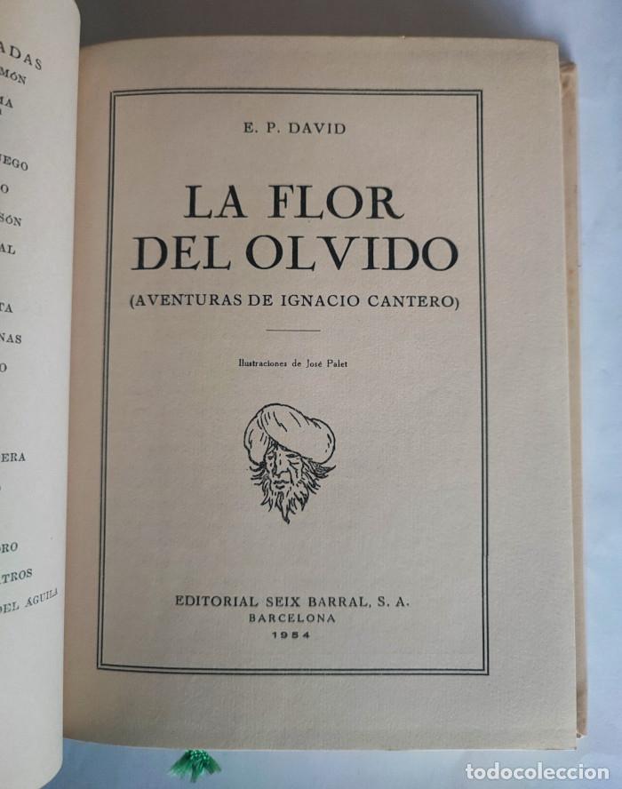 Libros: LA FLOR DEL OLVIDO (AVENTURAS DE IGNACIO CANTERO) - E. P. David - Foto 2