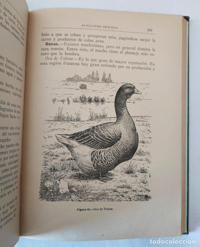 Libros: LAS AVES Y SUS PRODUCTOS - Santos Ar&aacute;n Circa - Foto 2