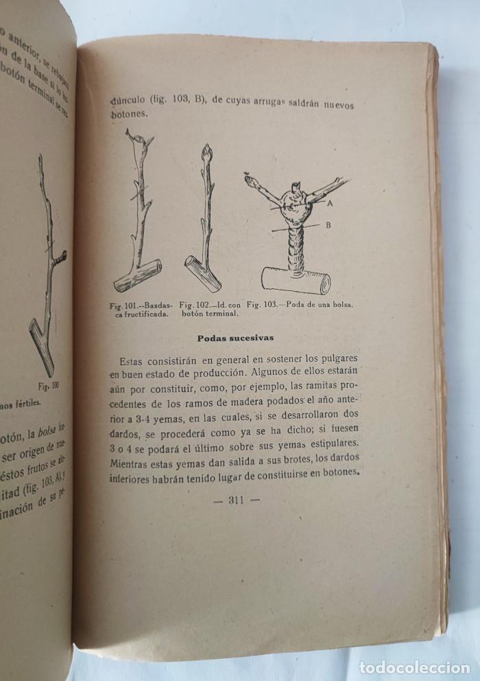 Libros: ARBORICULTURA GENERAL - J. Manuel Priego - Foto 2