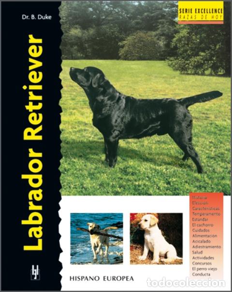 Libros: LABRADOR RETRIEVER - Bernard Duke - Foto 1