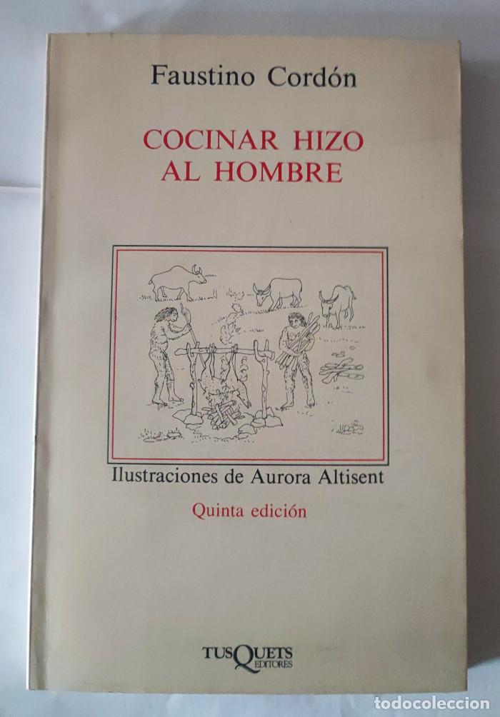 Libros: COCINAR HIZO AL HOMBRE - Faustino Cord&oacute;n - Foto 1