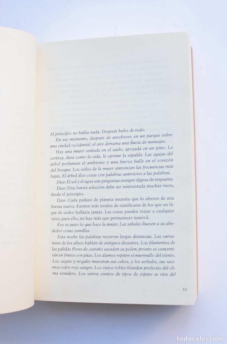 Libros: El clamor de los bosques - POWERS, Richard - Foto 3