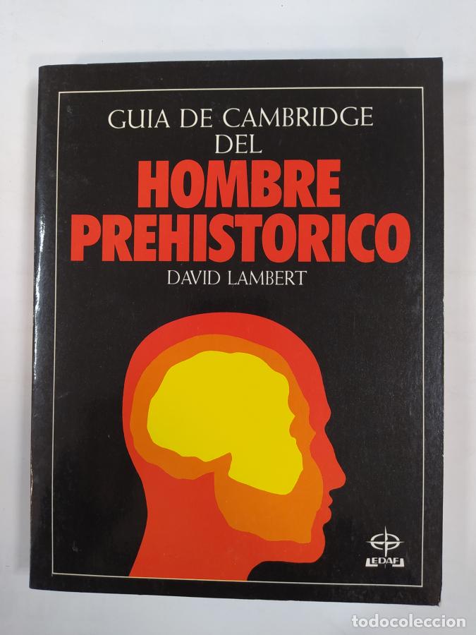 Libros: El Hombre Prehist&oacute;rico. - David Lambert. TDK440 - Foto 1