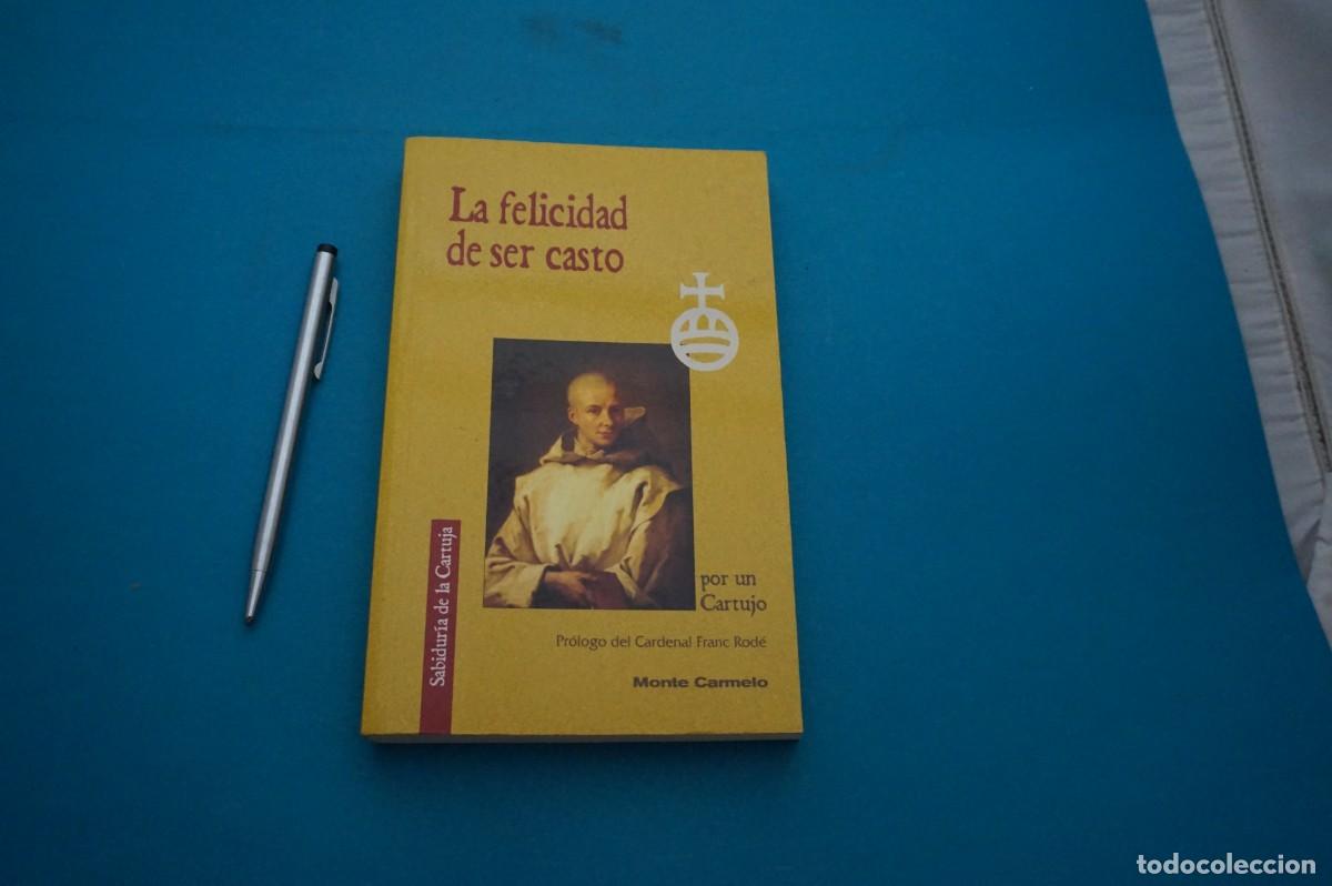 Libros: AMF-33F/ LA FELICIDAD DE SER CASTO / MONTE CARMELO - Foto 1