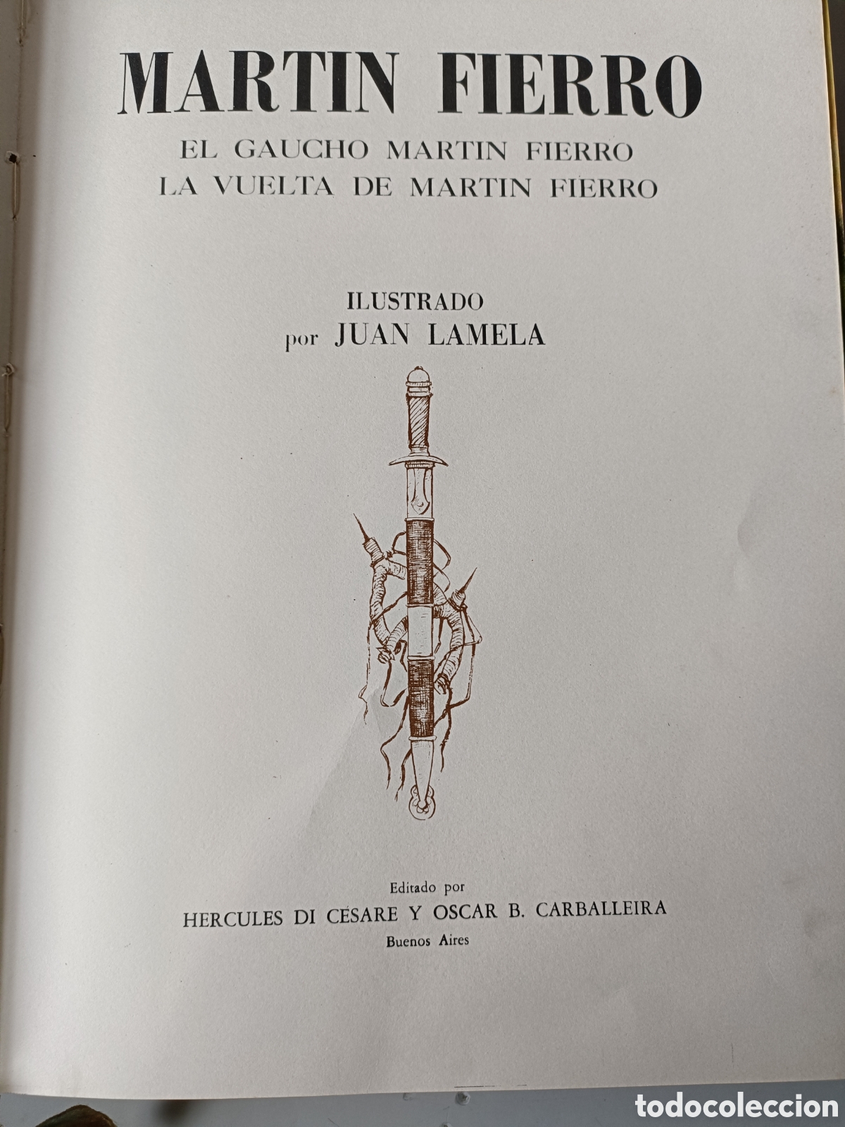 Libros: Mart&iacute;n Fierro tapas repujadas en cobre - Foto 6