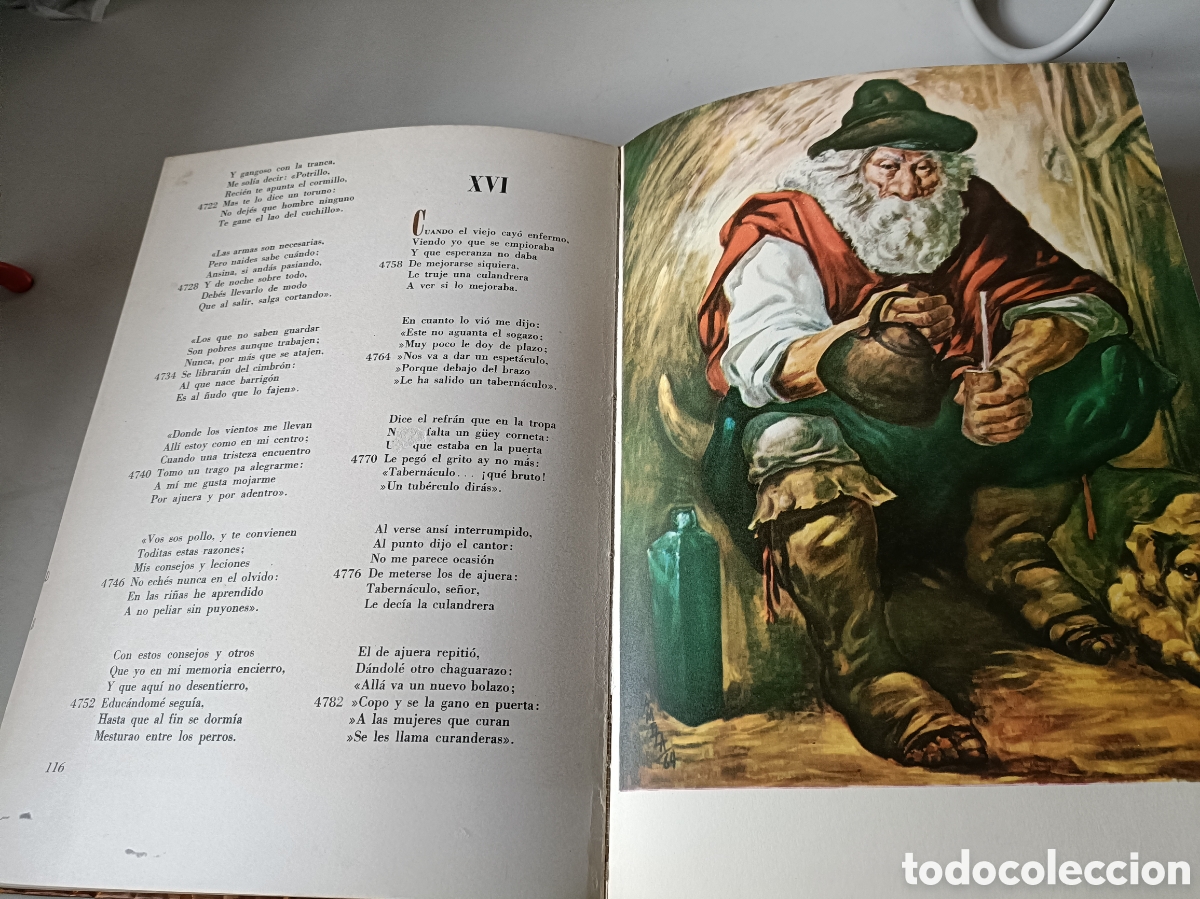 Libros: Mart&iacute;n Fierro tapas repujadas en cobre - Foto 5