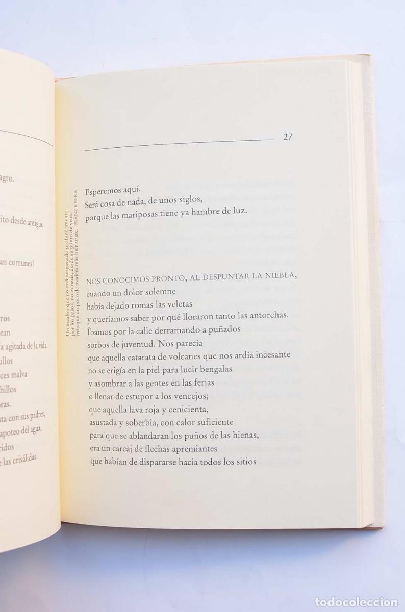 Libros: Eleg&iacute;a del amigo - GARC&Iacute;A, Rafael - Foto 4