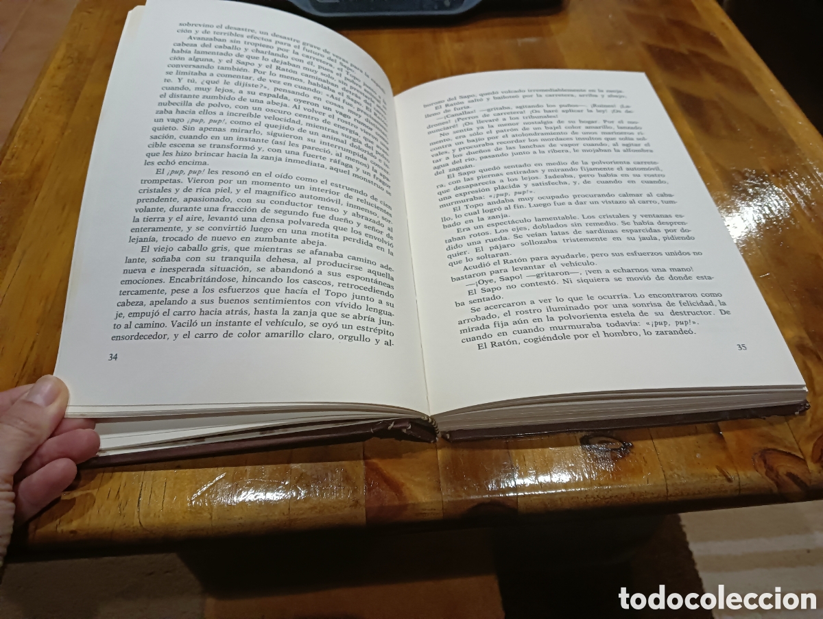 Libros: Viento en los sauces. - Foto 3
