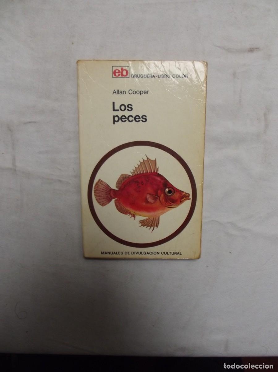 Libros: LOS PECES DE ALLAN COOPER BRUGUERA LIBRO COLOR - Foto 1