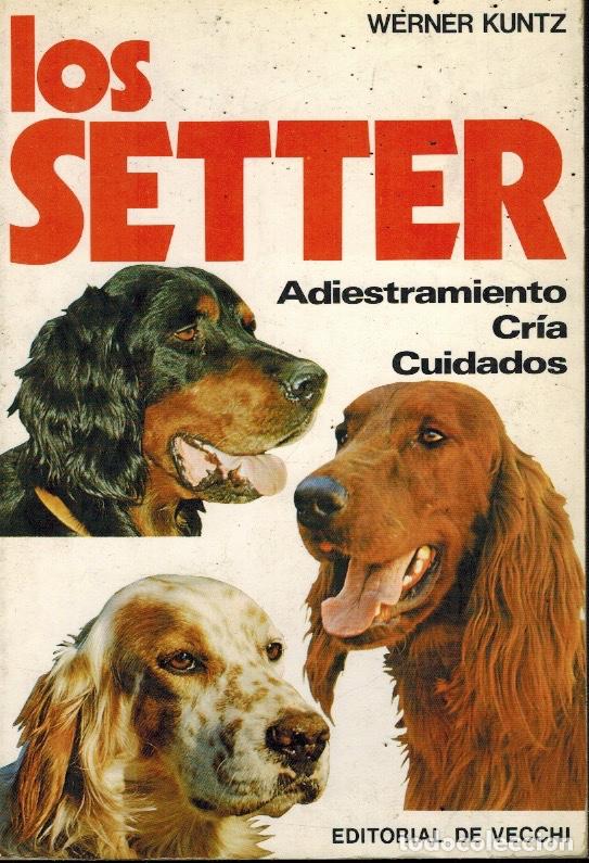 Libros: LOS SETTER - Foto 1