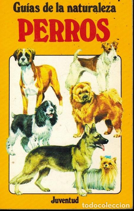 Libros: GU&Iacute;AS DE LA NATURALEZA DE LOS PERROS - Foto 1