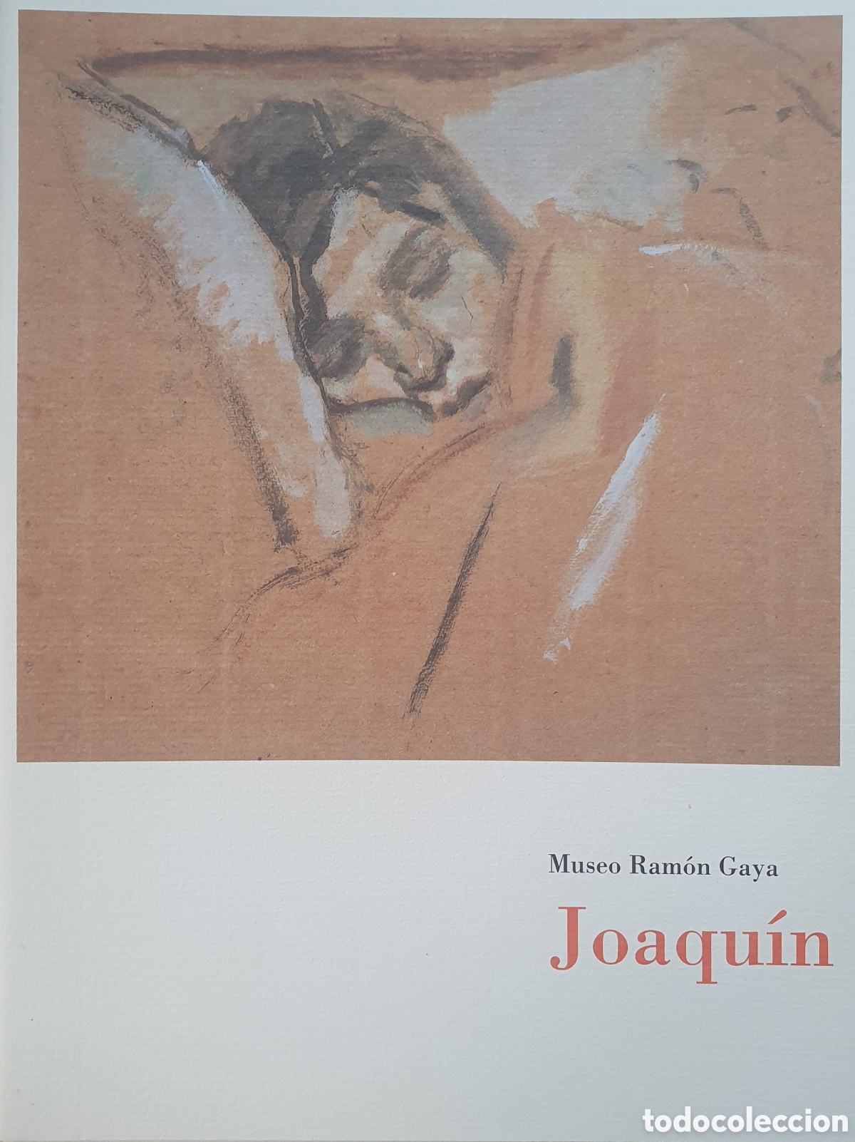Libros: Joaqu&iacute;n - Museo Ram&oacute;n Gaya - VV. AA. - Foto 1